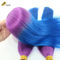 Προσαρμοσμένο Ombre Ανθρώπινες επεκτάσεις μαλλιών Bouncy μπλε πράσινο χρώμα