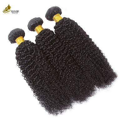 Φυσικό μαύρο Remy Human Hair Bundles εγγυημένη φυσική κομψότητα